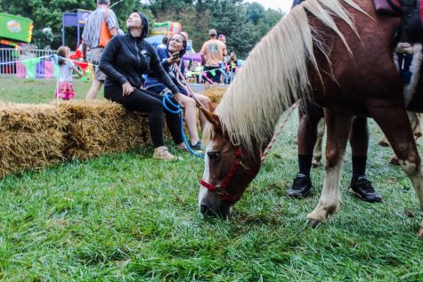 The mini horse ate grass, while bystanders looked at clouds that threatened to rain.  The annual Burke Centre Festival has been serving the community for over 40 years. 