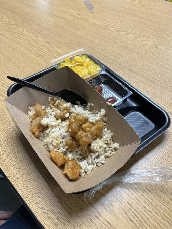 Orange chicken with soggy rice and pineapple in plastic bin and two grapes in plastic bin- all food is in a black Styrofoam tray and the chicken and rice is in a brown tray